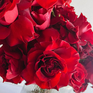 Valentine's Day Flowers for Delivery or Pickup in Denver - Plum Sage Flowers