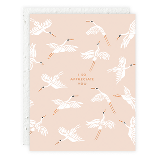 I So Appreciate You - Thank You Card