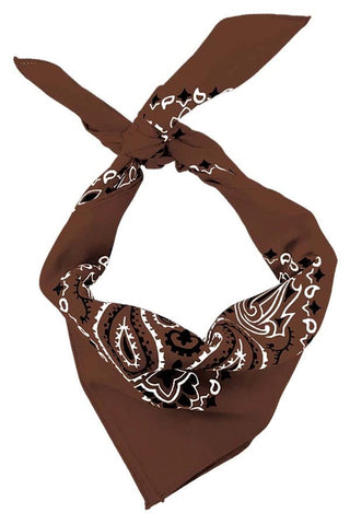 22" Bandana - Cocoa Paisley - Plum Social Events & Flowers
