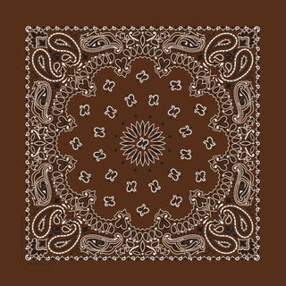 22" Bandana - Cocoa Paisley - Plum Social Events & Flowers