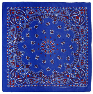 22" Bandana - Navy, Red, White Paisley - Plum Social Events & Flowers