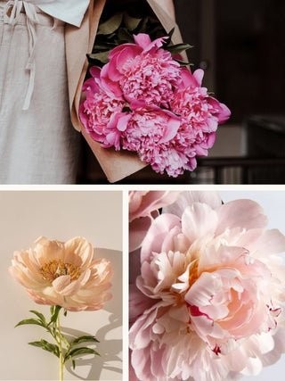 Peony Season | Floral Design Class in Denver