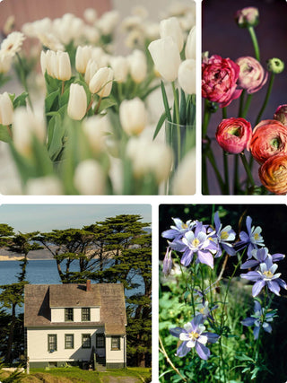 A Spring Wakeup | Floral Design Class in Denver