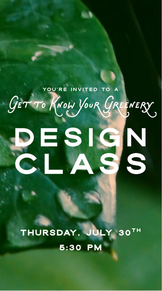 Get to Know Your Greenery | Floral Design Class in Denver