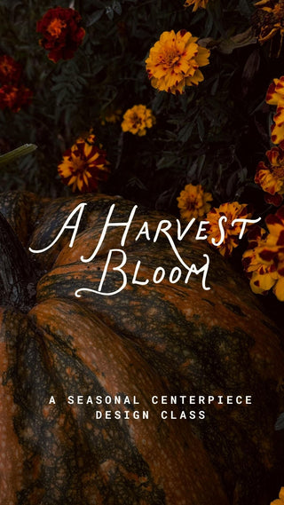 A Harvest Bloom | Fall Floral Design Class in Denver - Plum Social Events & Flowers