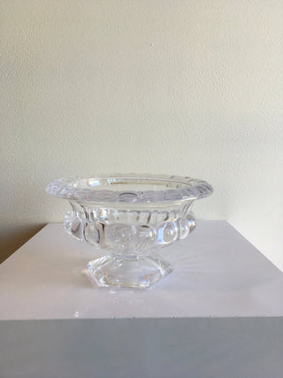 Abelia Compotes - Plum Social Events & Flowers