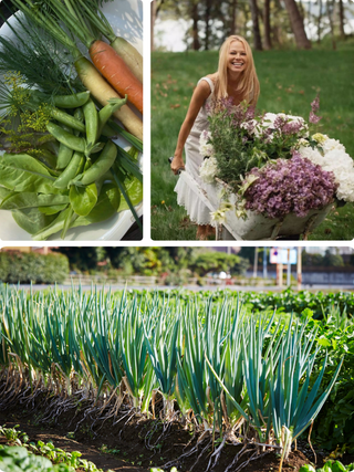 Bloom & Root | Floral & Veggie Centerpiece Class in Denver | April 23 at 5:30 PM - Plum Social Events & Flowers