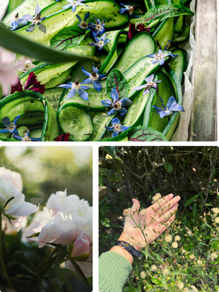 Bloom & Root | Floral & Veggie Centerpiece Class in Denver | April 23 at 5:30 PM - Plum Social Events & Flowers