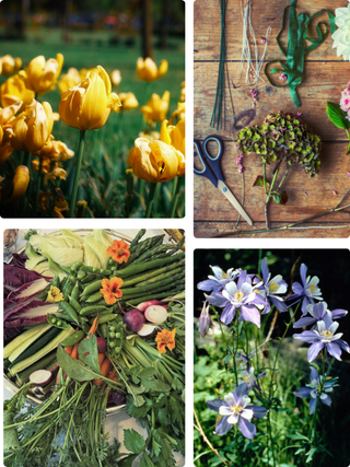 Bloom & Root | Floral & Veggie Centerpiece Class in Denver | April 23 at 5:30 PM - Plum Social Events & Flowers