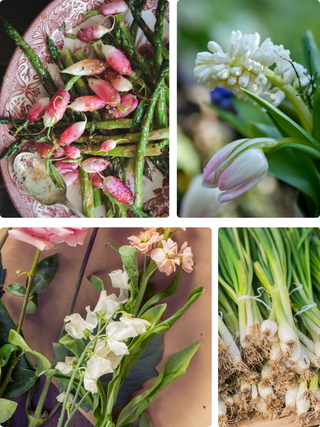 Bloom & Root | Floral & Veggie Centerpiece Class in Denver | April 23 at 5:30 PM - Plum Social Events & Flowers