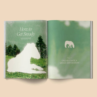 Calling All Horse Girls Magazine, Vol. 8: Steady - Plum Sage Flowers