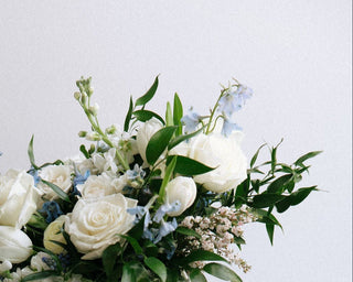 Charlie Smiles - Plum Social Events & Flowers