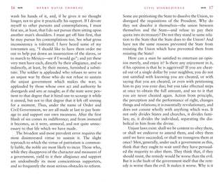 Civil Disobedience - Plum Sage Flowers