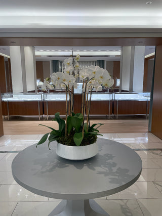 Corporate floral installations and activations by Plum Social Events and Flowers Denver