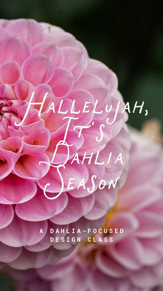 Dahlia Season | Floral Design Class in Denver - Plum Social Events & Flowers