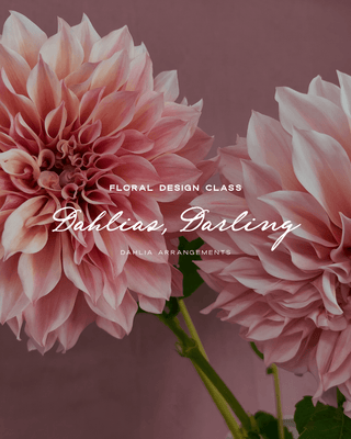 Dahlias, Darling Flower Design Class: Saturday, September 13 | 10:30 AM - Plum Sage Flowers