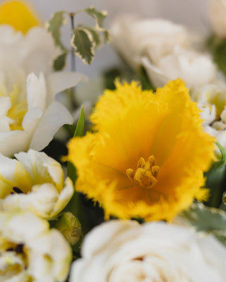 Darling Clementine - Plum Social Events & Flowers