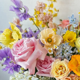 Daydream - Plum Sage Flowers