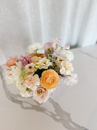 Double Dutch - Plum Sage Flowers