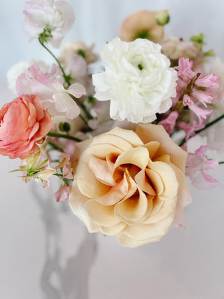 Double Dutch - Plum Sage Flowers