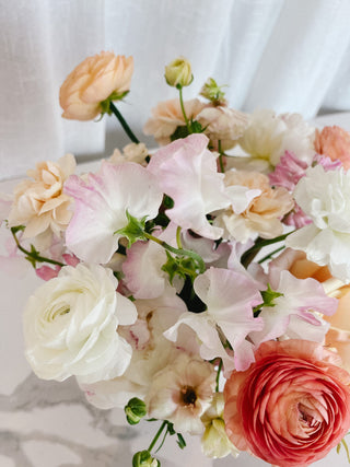 Double Dutch - Plum Sage Flowers