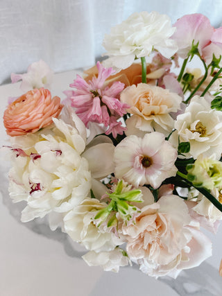 Double Dutch - Plum Sage Flowers