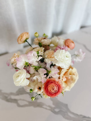 Double Dutch - Plum Sage Flowers
