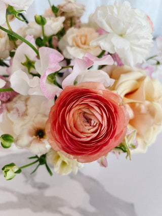 Double Dutch - Plum Sage Flowers