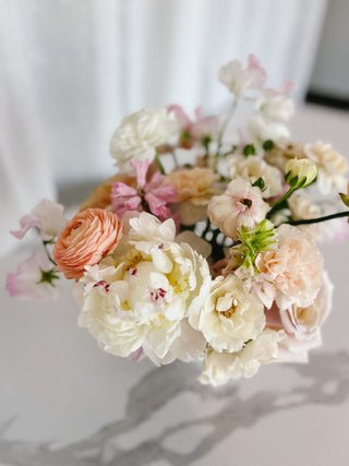 Double Dutch - Plum Sage Flowers