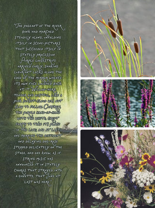 Famous Flowers: Windy & Wild Centerpieces | Floral Design Class in Denver | June 13 at 10:30 AM - Plum Social Events & Flowers