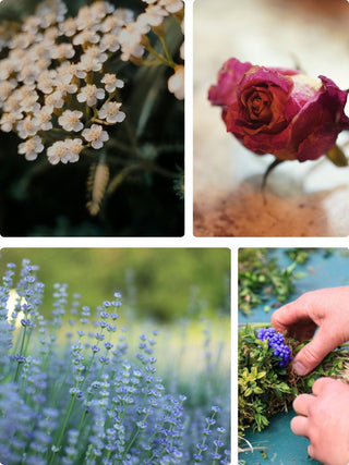 First Bloom Forever | Spring Wreath - Making in Denver | May 16 at 11:30 AM - Plum Social Events & Flowers