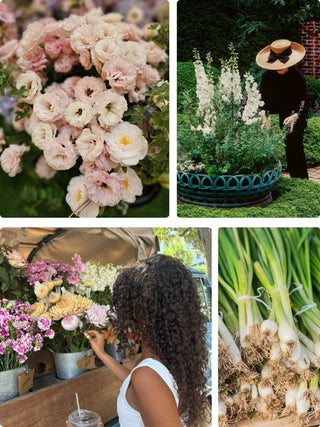Floral Design Class: A Spring Wakeup, April 11 at 11:30 AM - Plum Social Events & Flowers
