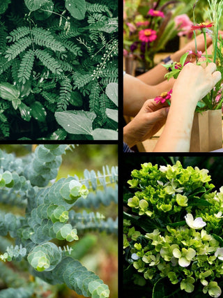 Get to Know Your Greenery | Floral Design Class in Denver - Plum Social Events & Flowers