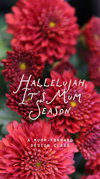 Hallelujah, It's Mum Season | Floral Design Class in Denver - Plum Social Events & Flowers