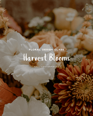 Harvest Blooms Flower Design Class: Tuesday, November 25 | 5:30 PM - Plum Sage Flowers