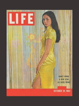 Hollywood Chinese: The Chinese in American Feature Films - Plum Sage Flowers