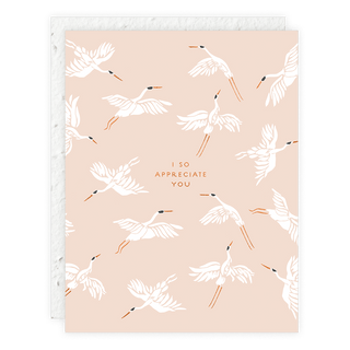 I So Appreciate You - Thank You Card - Plum Social Events & Flowers