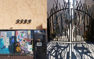 KAOS Theory - Plum Sage Flowers