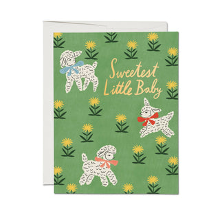 Little Lamb greeting card - Plum Social Events & Flowers