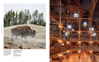 Lodge: An Indoorsy Tour of America's National Parks - Plum Sage Flowers