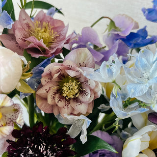 Moon Water - Plum Sage Flowers