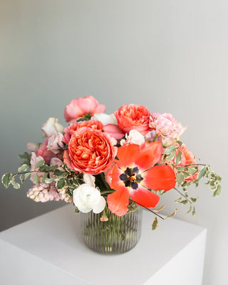 Sun Shower - Plum Social Events & Flowers