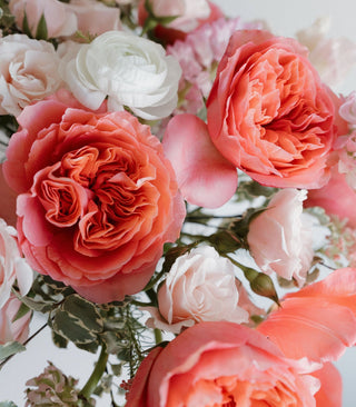 Sun Shower - Plum Social Events & Flowers