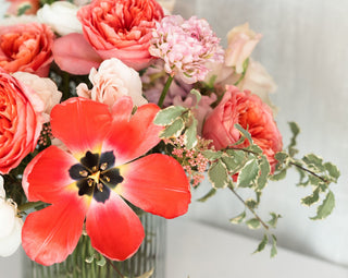 Sun Shower - Plum Social Events & Flowers