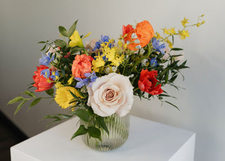 Sweet Creature - Plum Social Events & Flowers