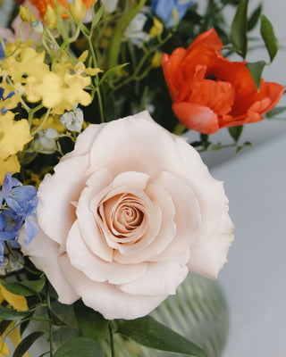 Sweet Creature - Plum Social Events & Flowers
