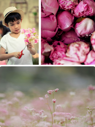 We're Like Twins | Partner Flower Class in Denver | May 23 at 3:30 PM - Plum Social Events & Flowers