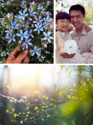 We're Like Twins | Partner Flower Class in Denver | May 23 at 3:30 PM - Plum Social Events & Flowers