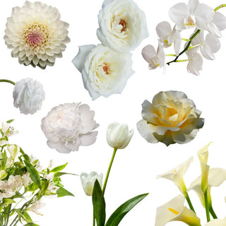 Flower subscriptions in Denver - Plum Sage Flowers