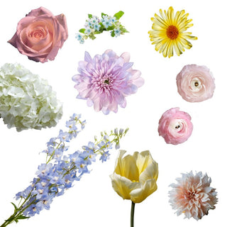 Flower subscriptions in Denver - Plum Sage Flowers